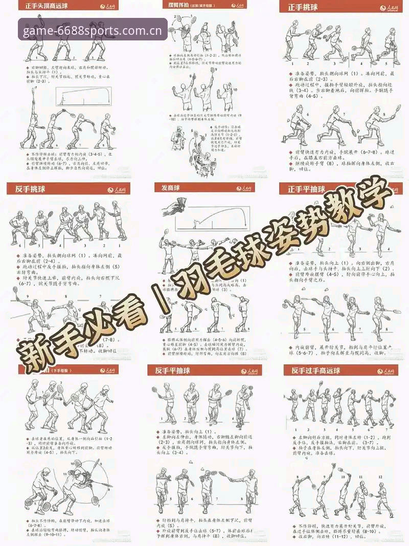 资深用户手把手教你：体育赛事激情安装教程全攻略，看完就能上手